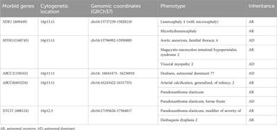 Prenatal diagnosis and postnatal follow-up of 15 fetuses with 16p13.11 microduplication syndrome